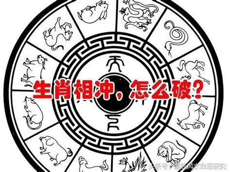 馬鼠相沖化解|龍吟師傅：教大家簡單方法，化解生肖屬相的沖害問題